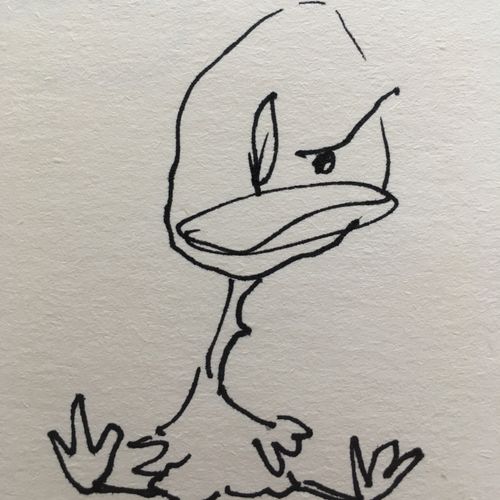 drawing of a duck