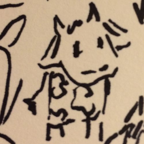 drawing of a cow