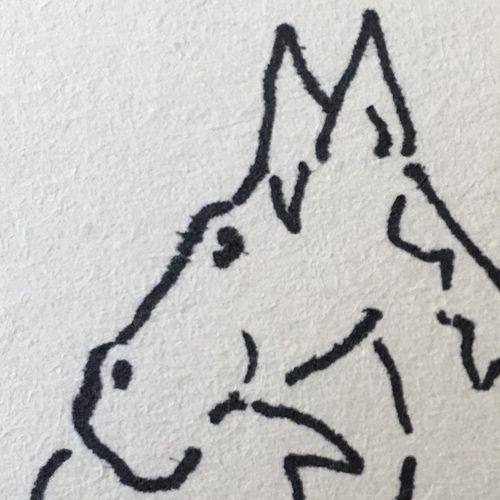 drawing of a horse