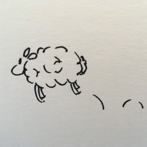 drawing of a scheep