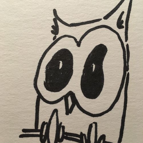 drawing of an owl