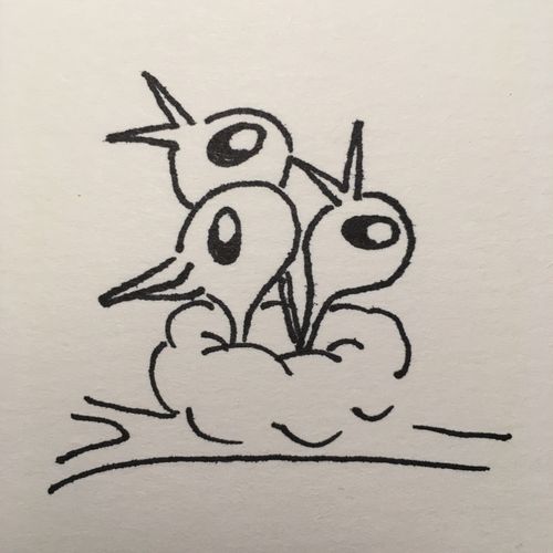 drawing of birds in a nest